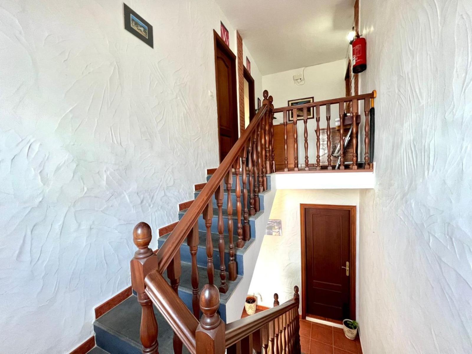 Apartment Trebol